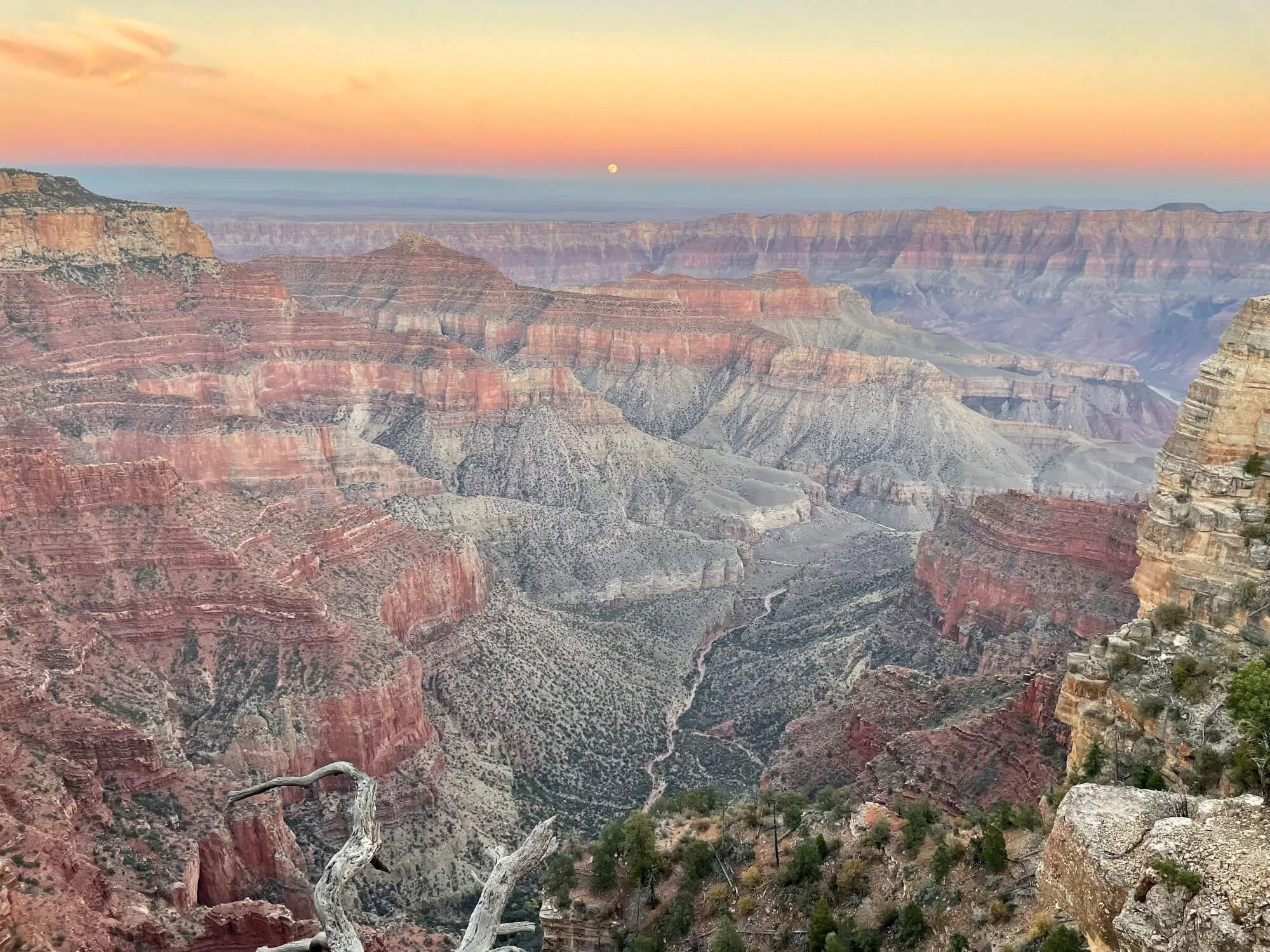 Cape Royal overlook on the North Rim with a low stone wall, scattered pinyon pines, and a wide open canyon view