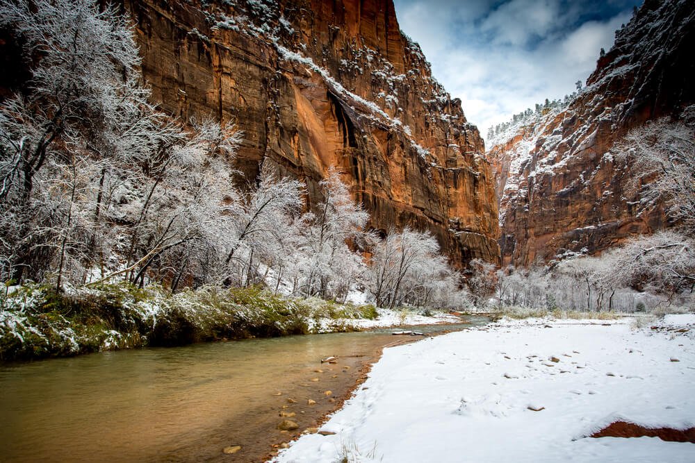 Cars parked along Zion Canyon Scenic Drive in winter with bare cottonwoods and steep canyon walls