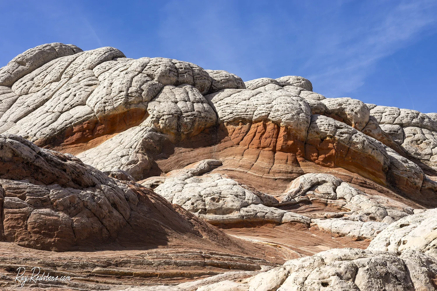 Close up of smooth white sandstone with swirling orange bands and small pocket-like depressions at White Pocket, Arizona, in soft afternoon light