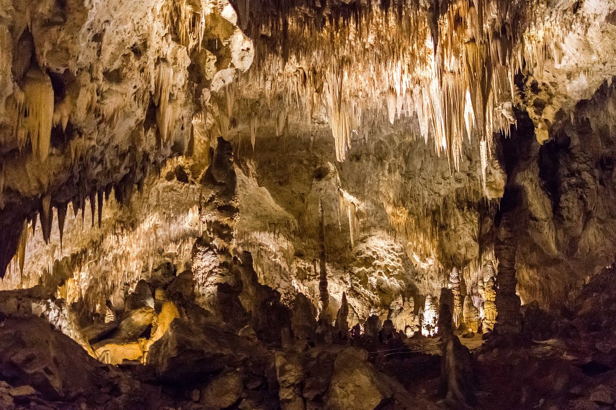 Close view of tall limestone stalagmites and drapery formations in Carlsbad Caverns Big Room with a paved path and soft amber lighting, realistic cave photography