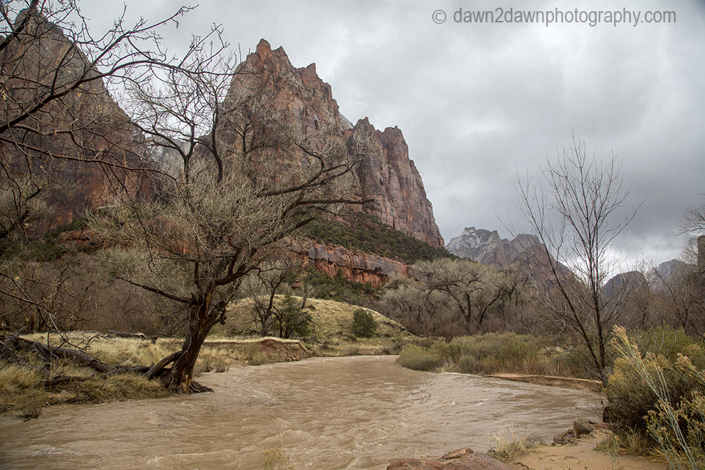 Dark storm clouds gathering above the rim of Zion Canyon while hikers wade in the Virgin River below, emphasizing changing weather conditions
