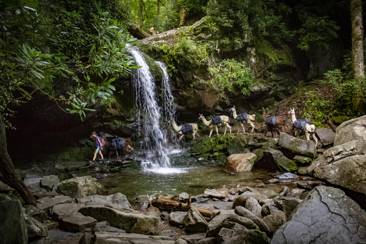 Grotto Falls cascading over a rock ledge with a hiker walking on the path behind the falling water, lush forest setting, real photograph
