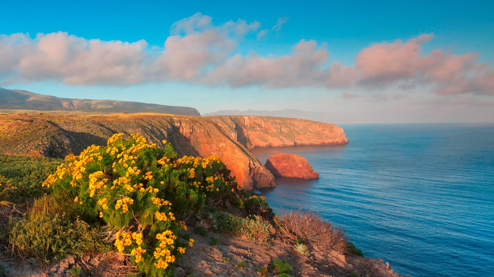 Hikers walking along the Cavern Point coastal bluff trail on Santa Cruz Island with turquoise water and kelp beds below, realistic travel photography