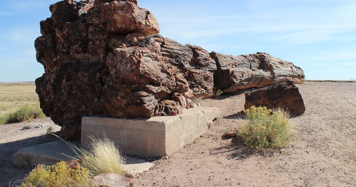 Large petrified logs lying beside a desert trail in Petrified Forest National Park, showing polished bands of red, orange, and cream mineral colors