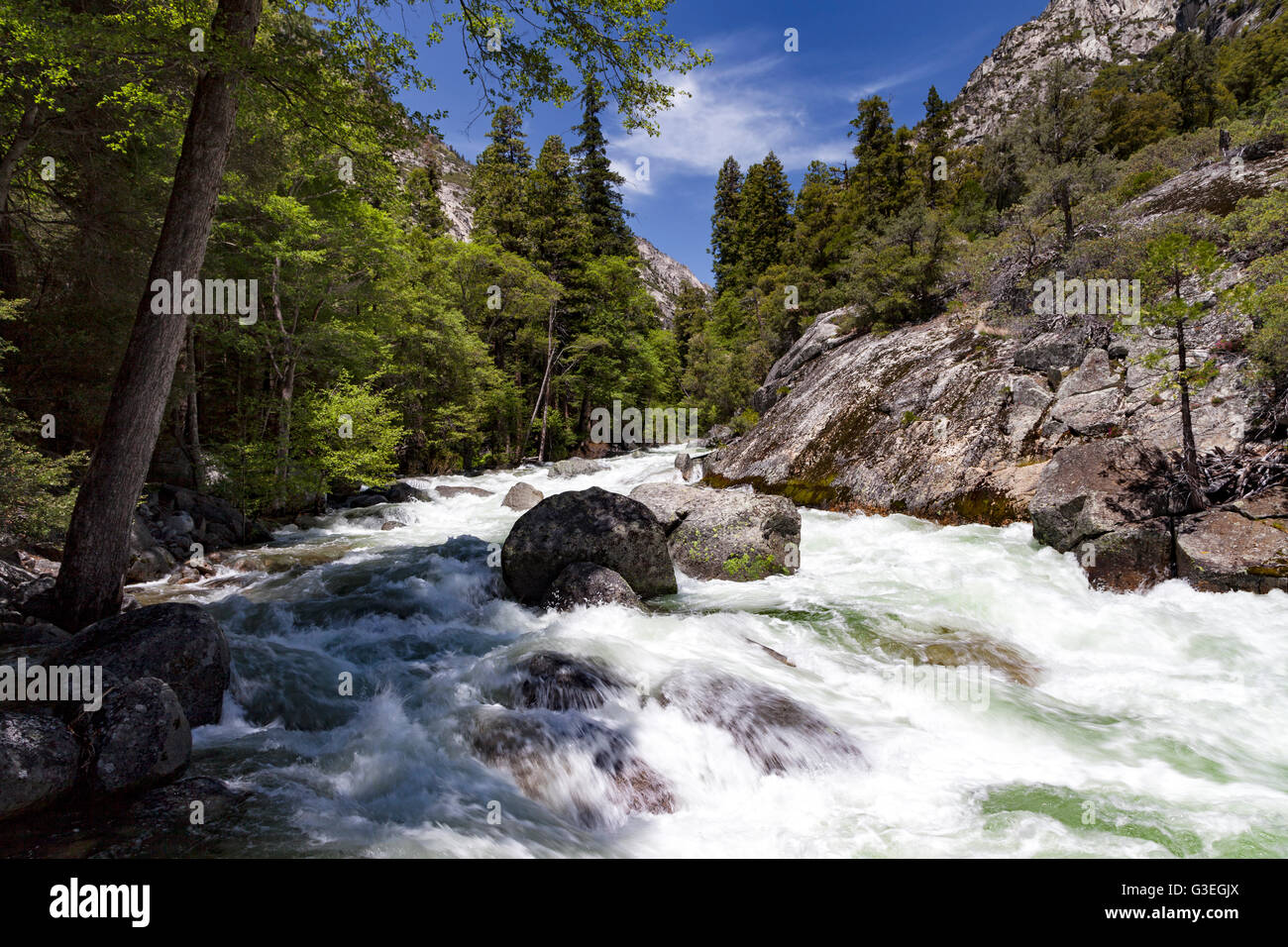 Mist Falls in Kings Canyon National Park with whitewater cascading over granite ledges and mist rising above the river, realistic landscape photograph
