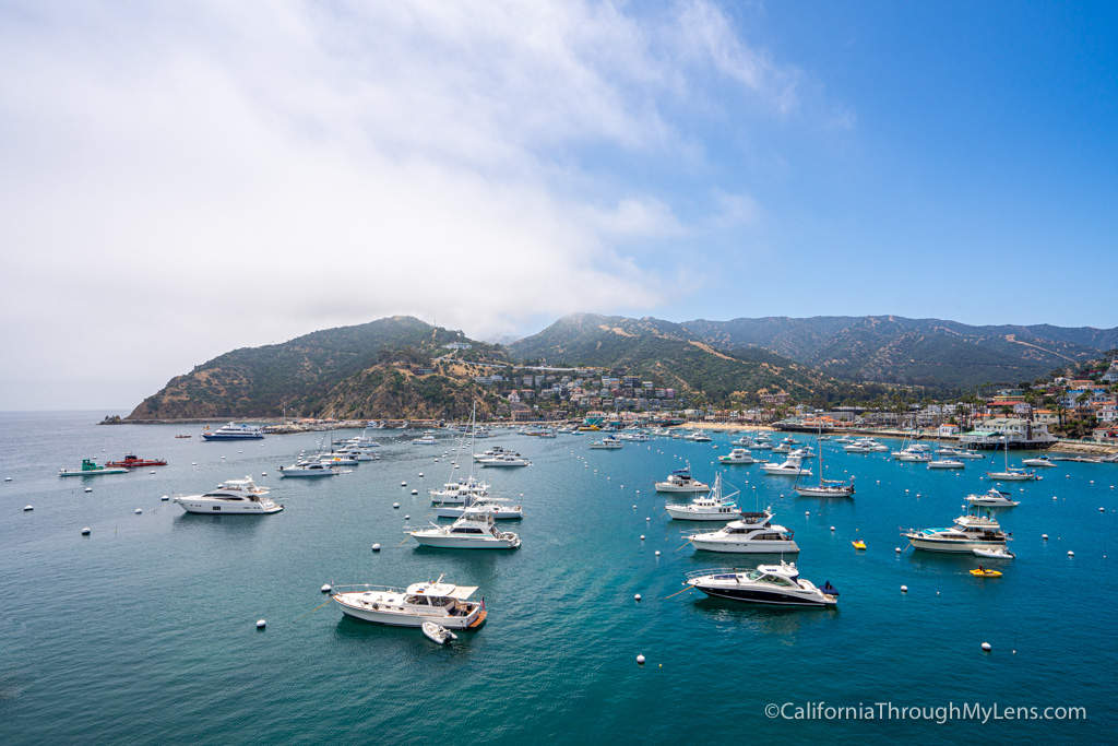 Morning light over Avalon Harbor on Catalina Island with small boats moored on calm blue water and the town’s hillside buildings behind, real travel photography