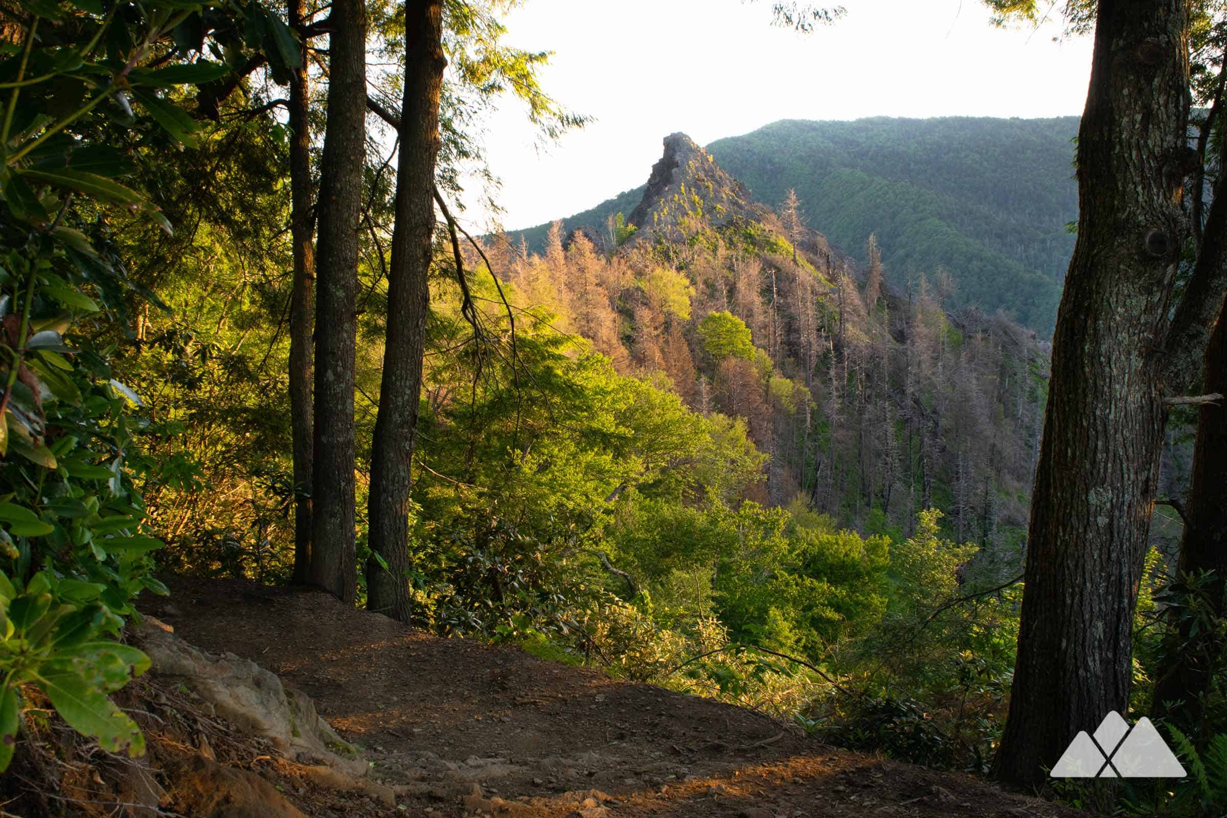 Rocky overlook near the end of the Chimney Tops trail with hikers resting and layered mountain ridges in the background, real landscape photograph