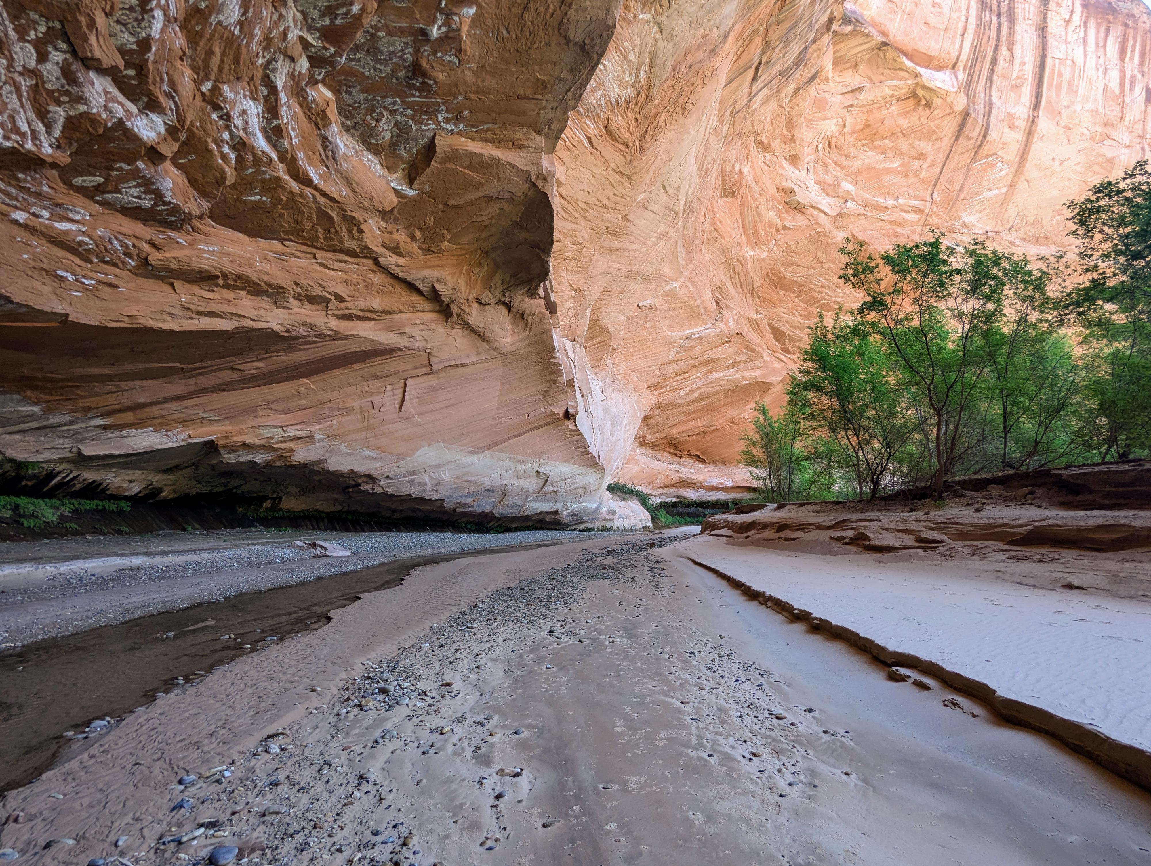Sandy wash near the Harris Wash area with low canyon walls and desert shrubs in soft evening light