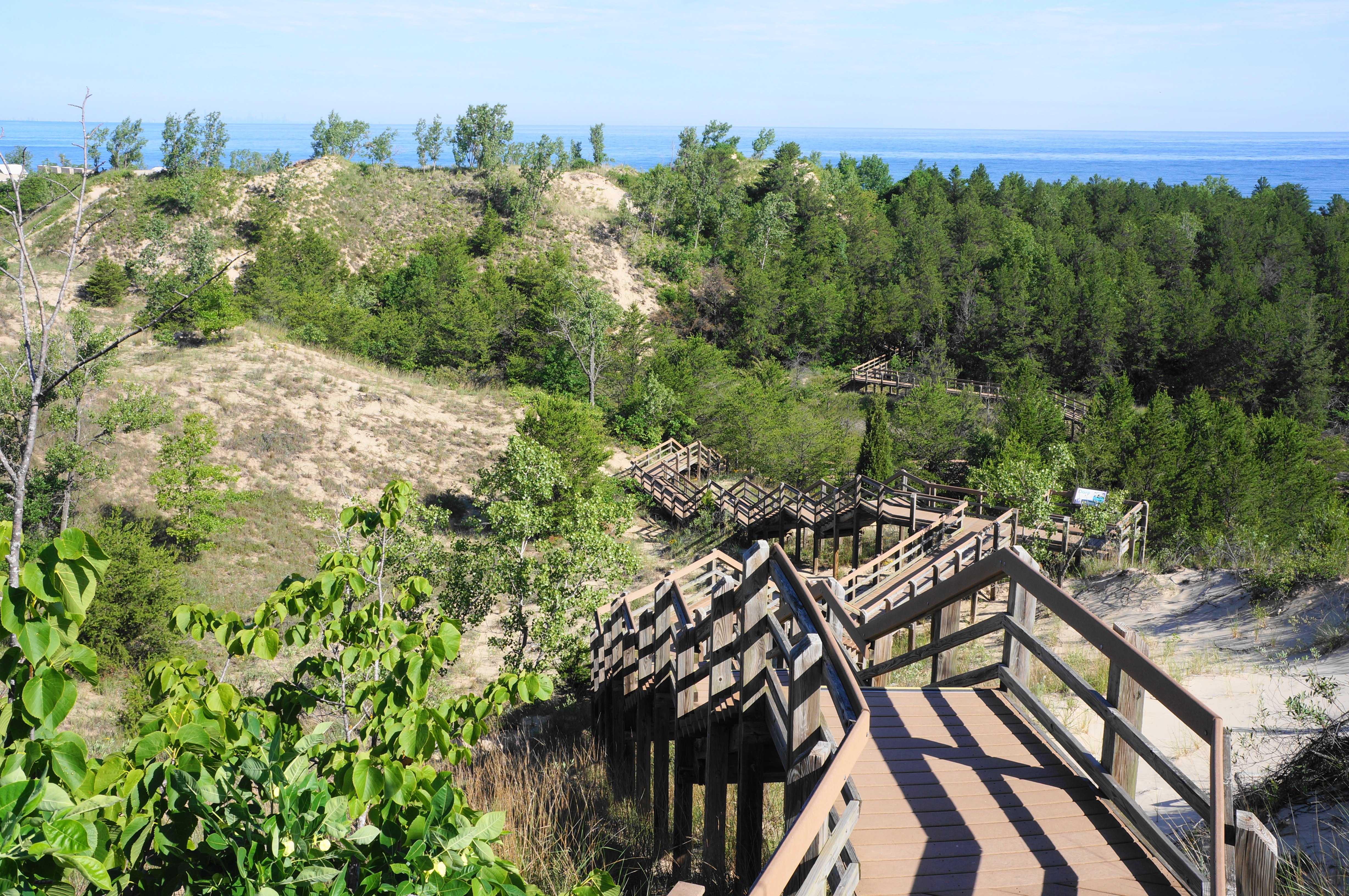 Tall wooden stairs climbing a steep sand dune with dune grasses and blue sky at Indiana Dunes National Park