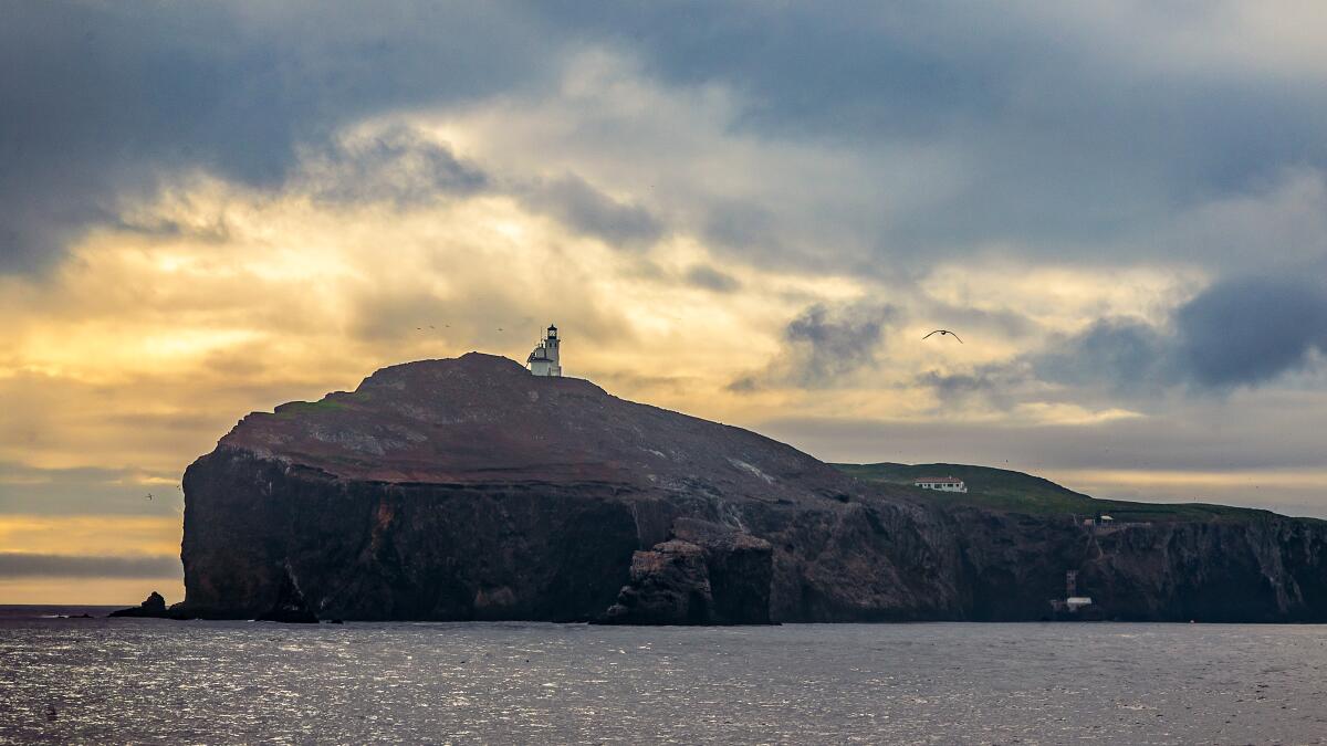 The Anacapa Island lighthouse on a grassy bluff above steep sea cliffs with the Pacific Ocean stretching to the horizon, realistic travel photography